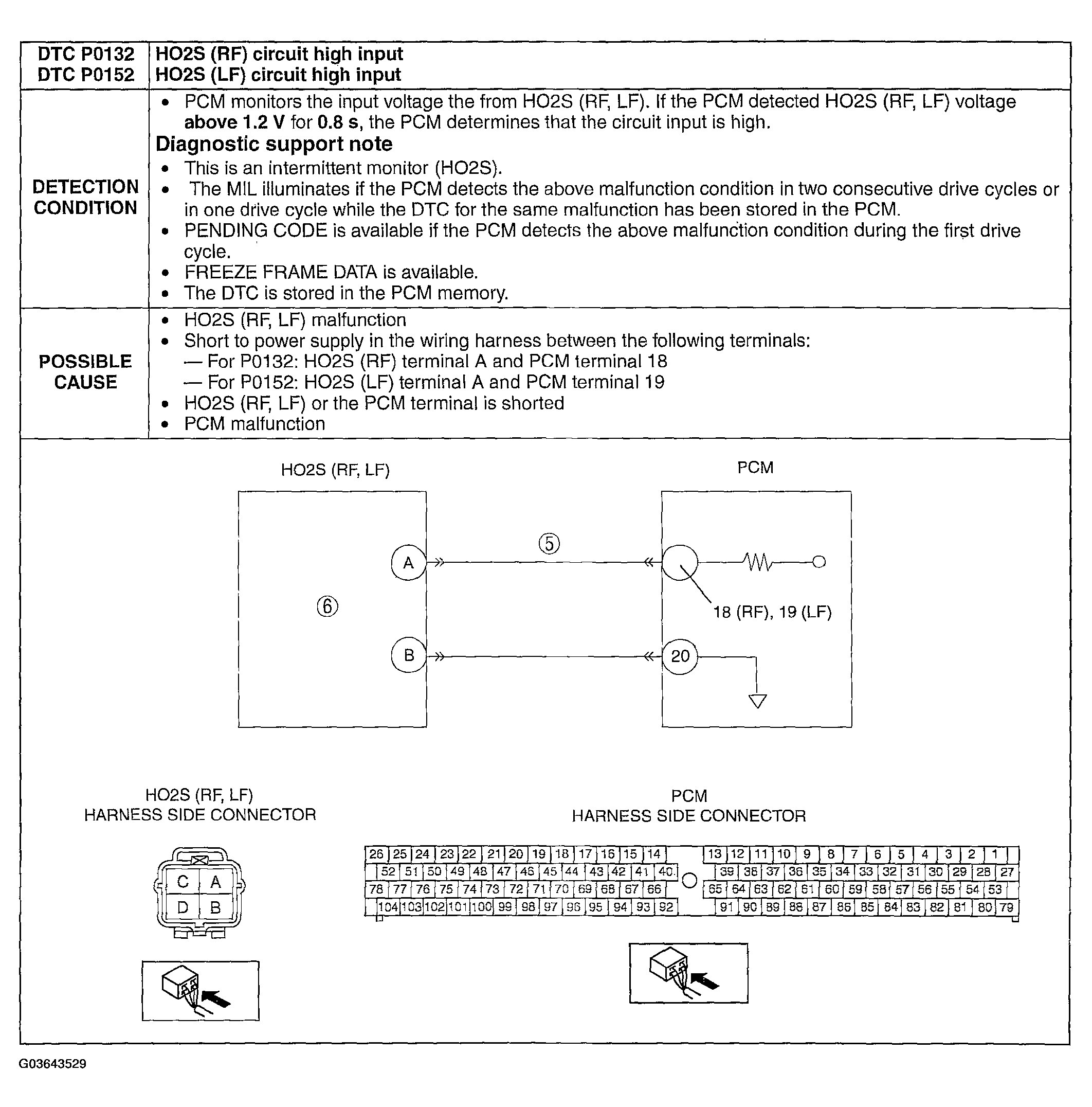 G03643529
