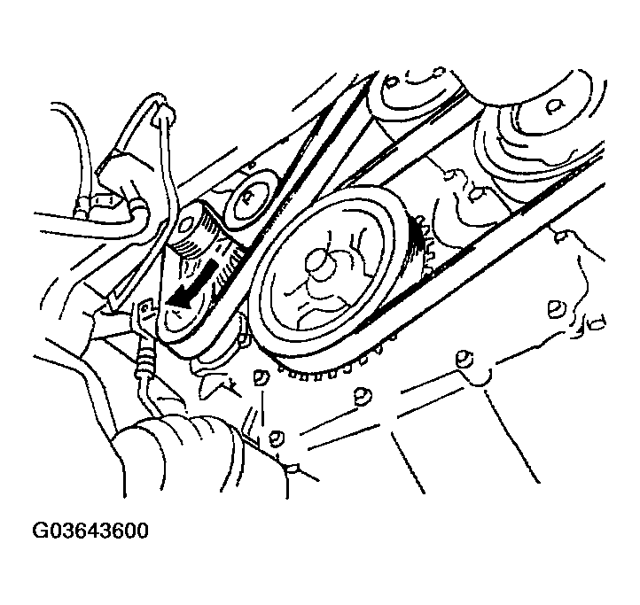 G03643600