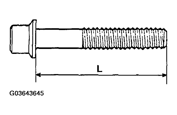 G03643645
