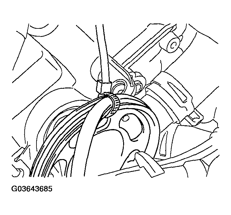 G03643685