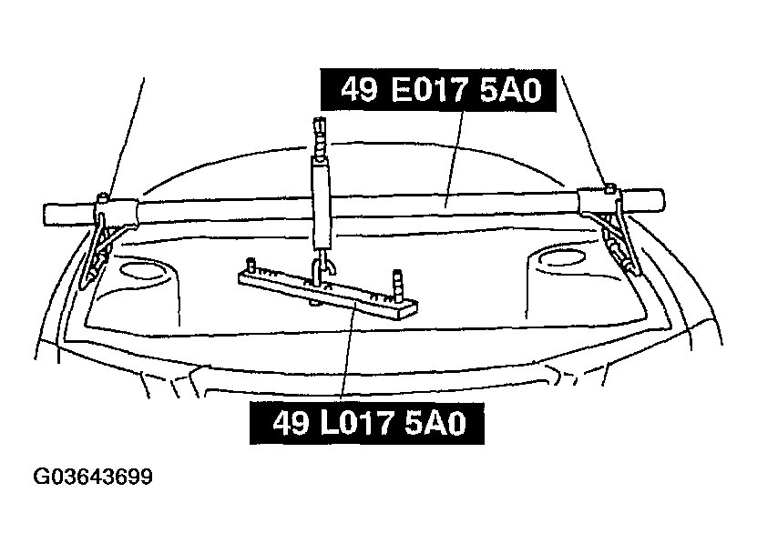 G03643699