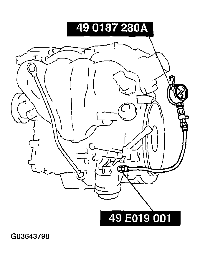 G03643798