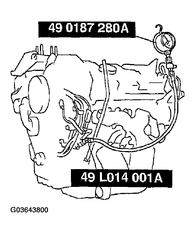 G03643800