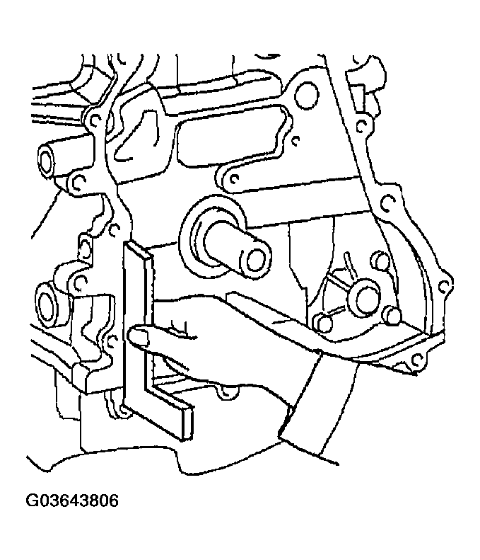 G03643806