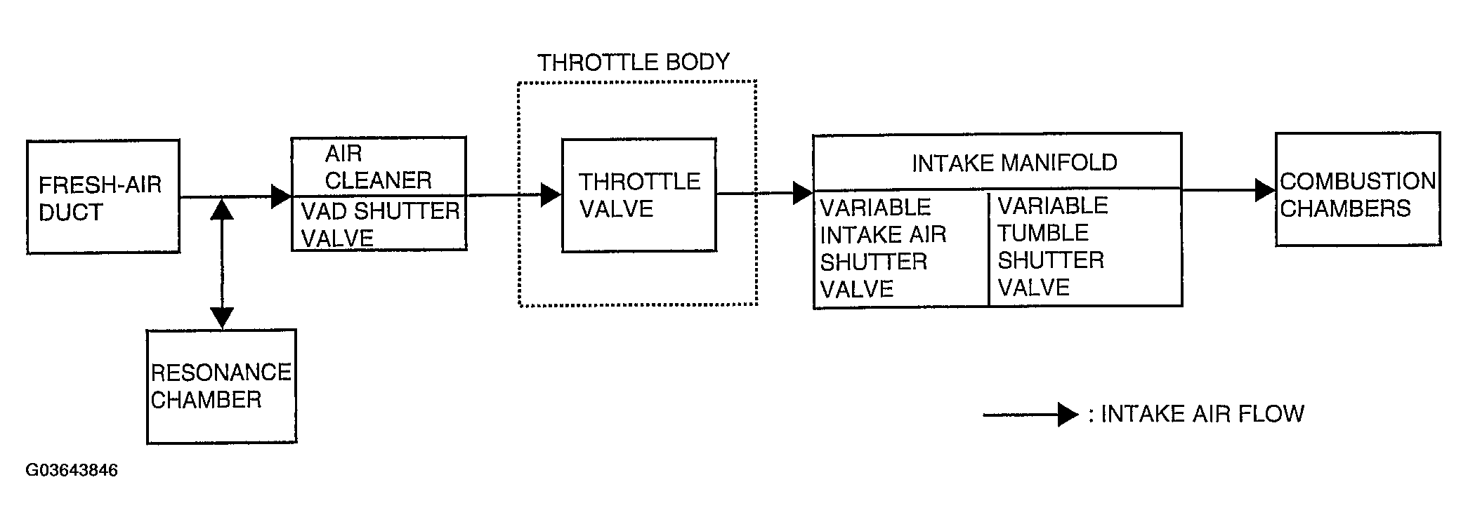G03643846