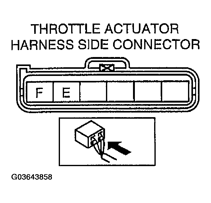 G03643858