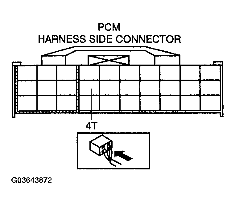 G03643872