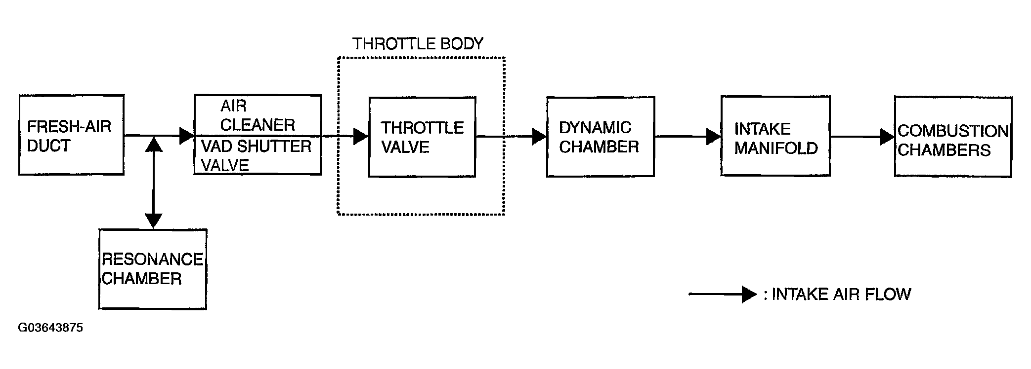 G03643875