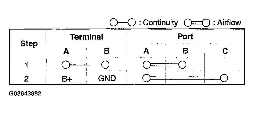 G03643882