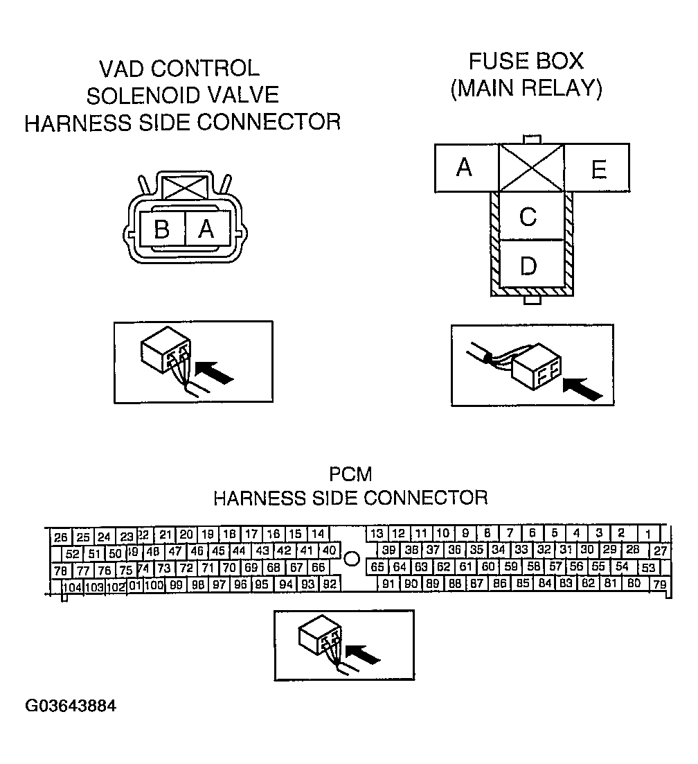 G03643884