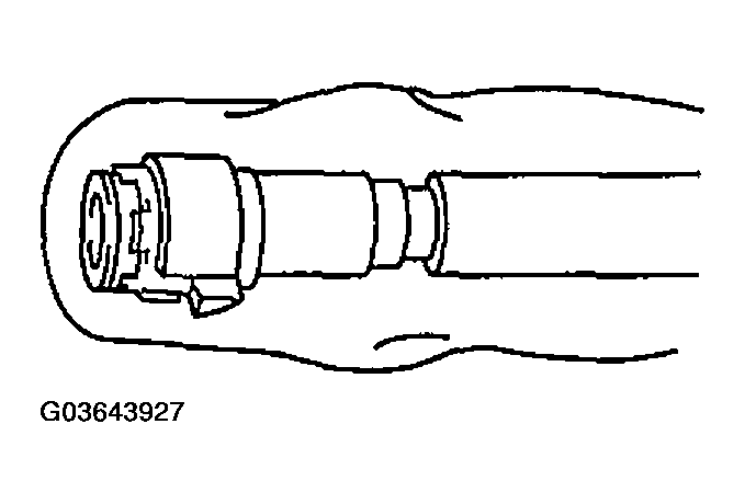 G03643927