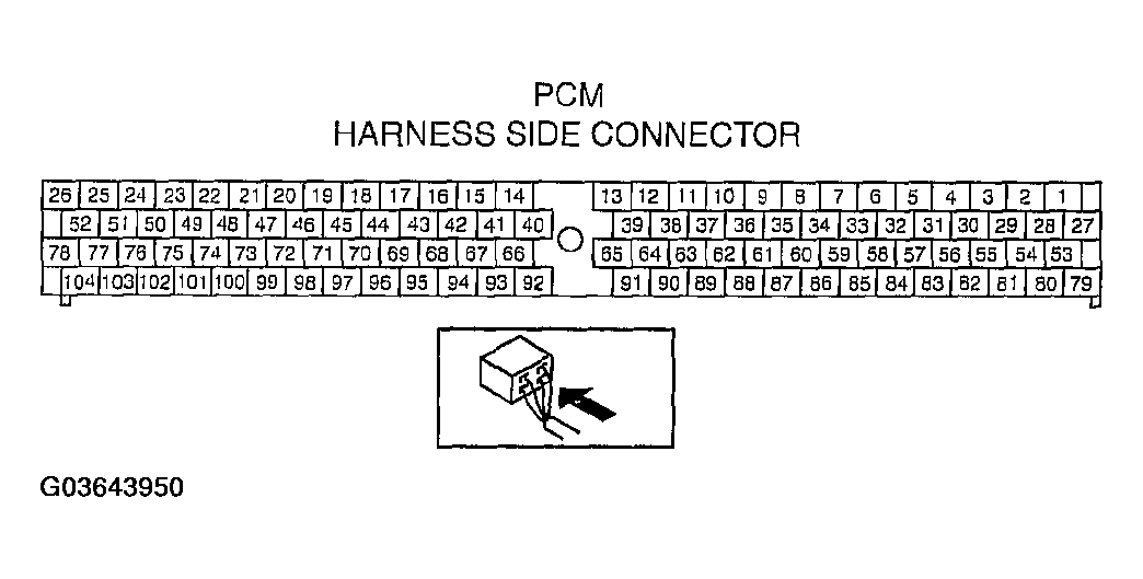G03643950