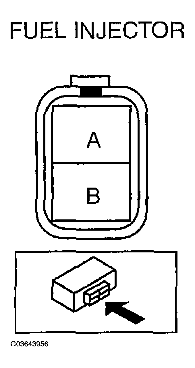 G03643956