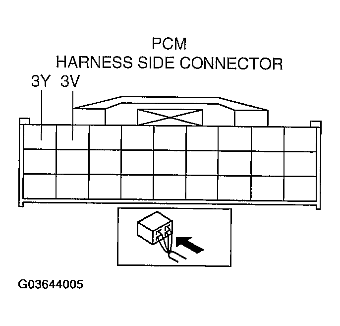 G03644005
