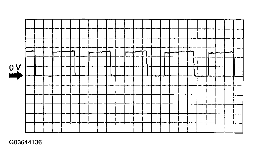 G03644136