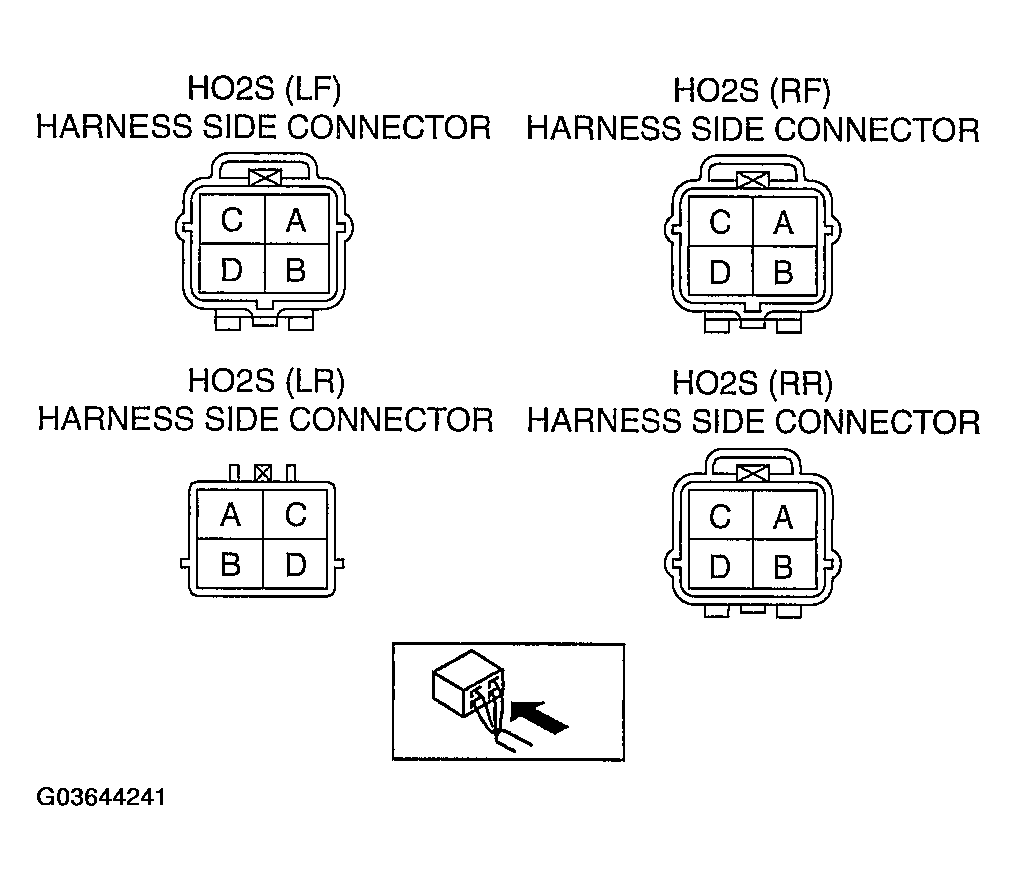 G03644241