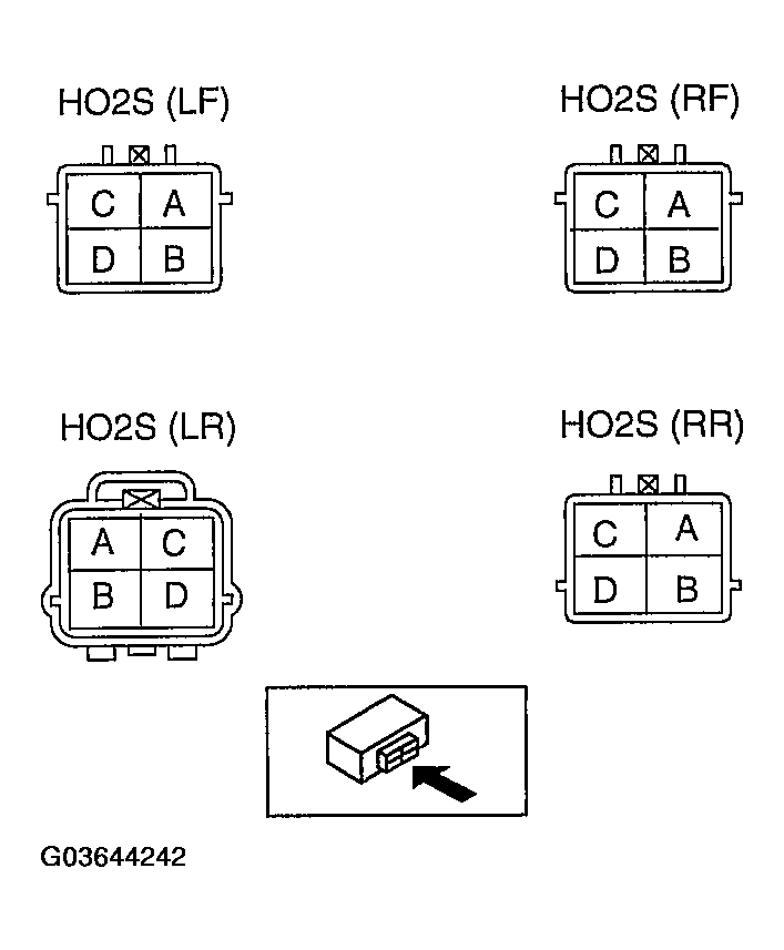 G03644242