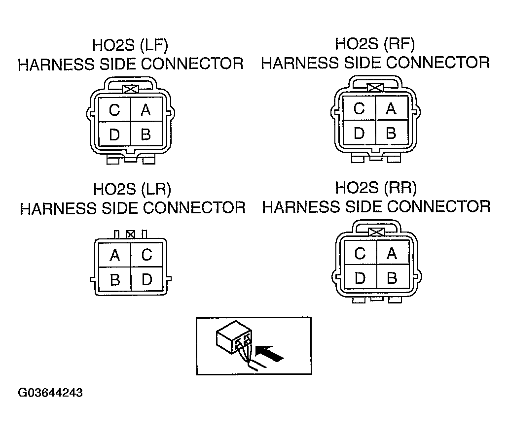 G03644243