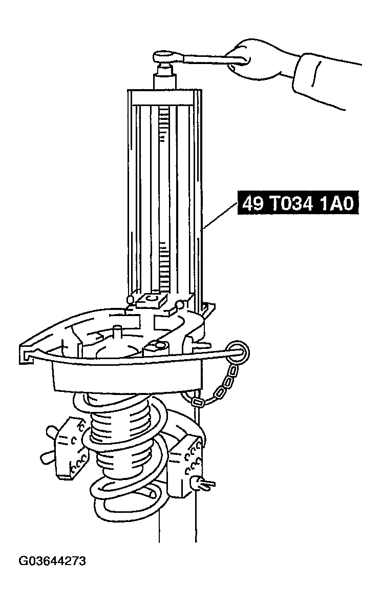 G03644273