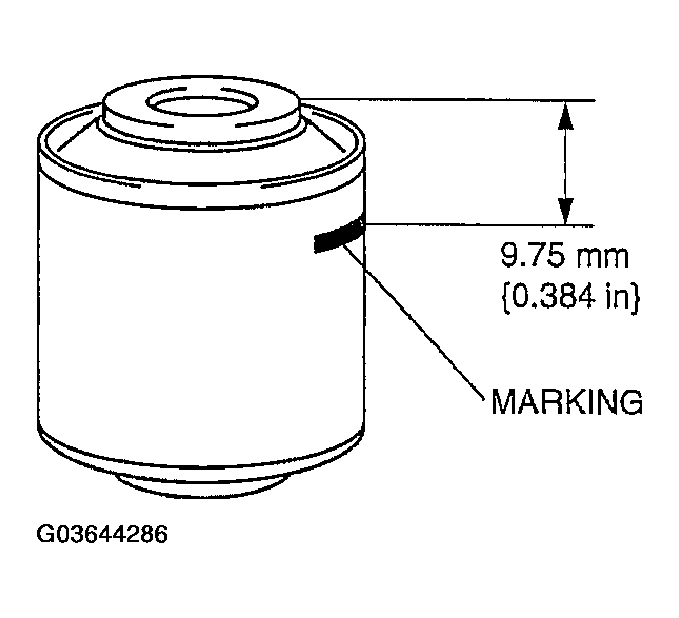 G03644286