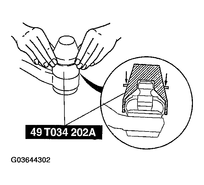 G03644302