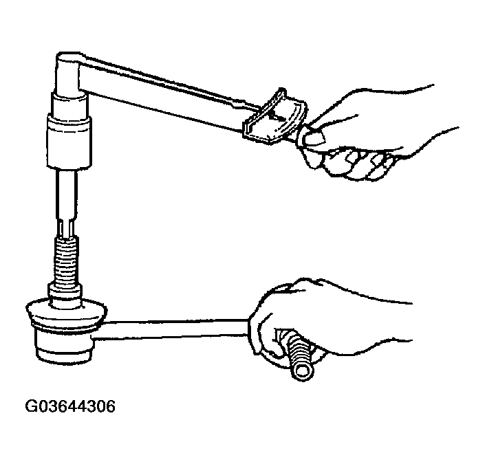 G03644306