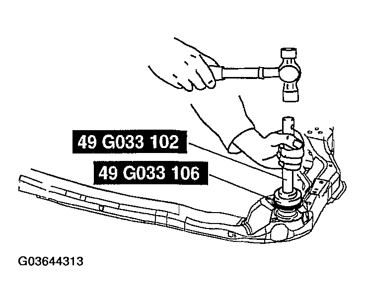 G03644313