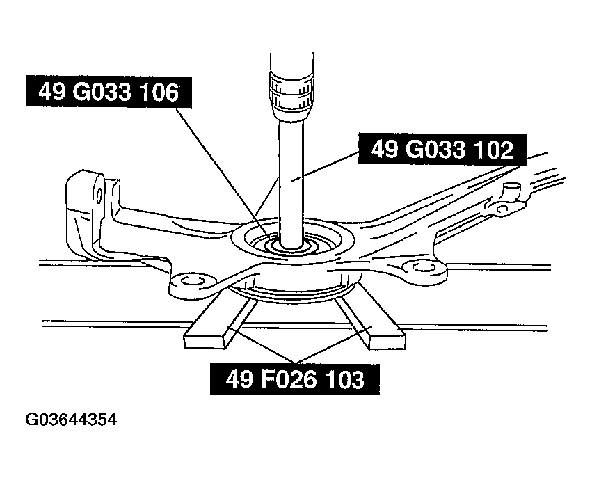 G03644354