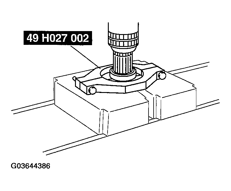 G03644386