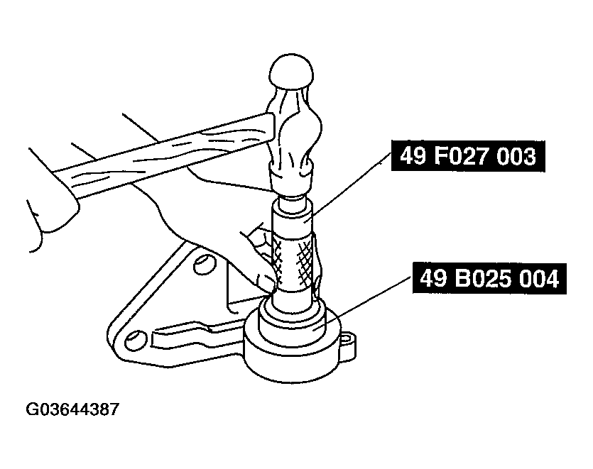 G03644387