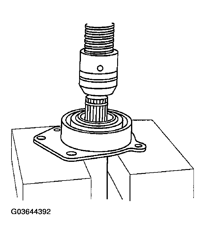 G03644392
