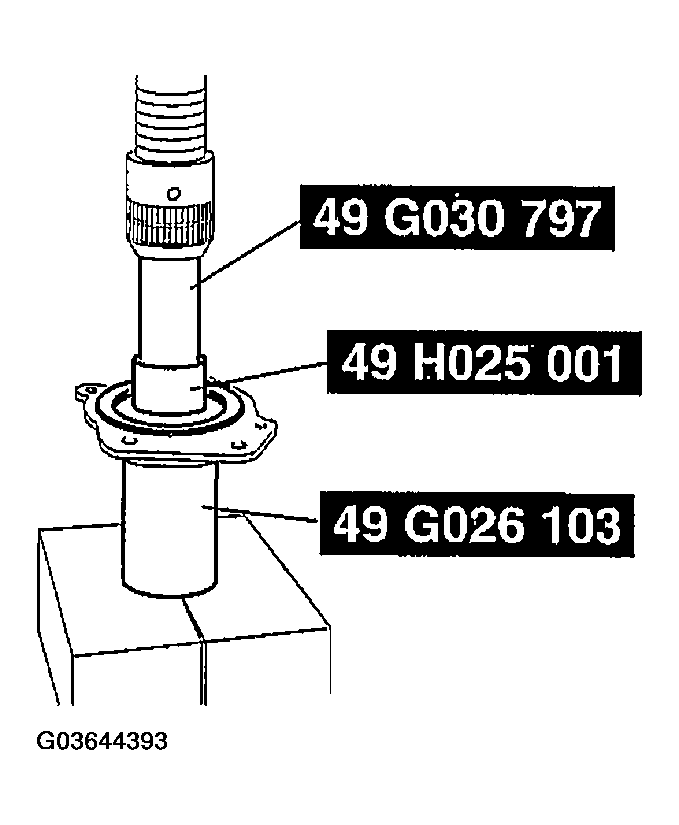 G03644393