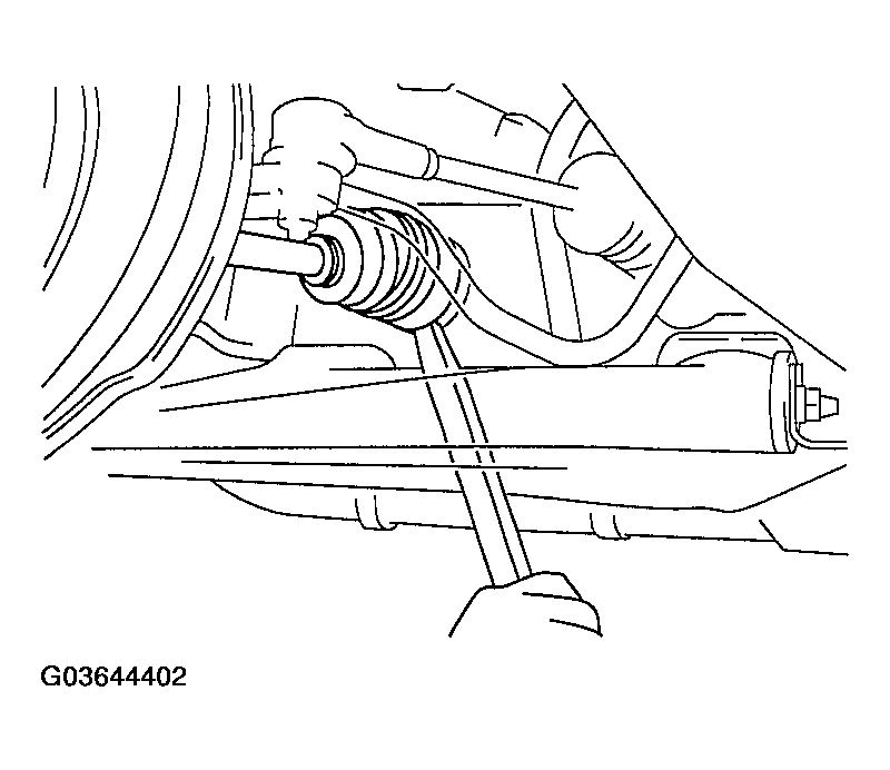 G03644402