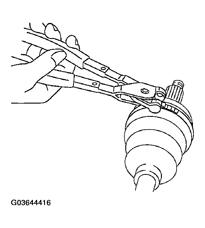 G03644416