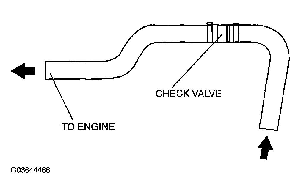 G03644466