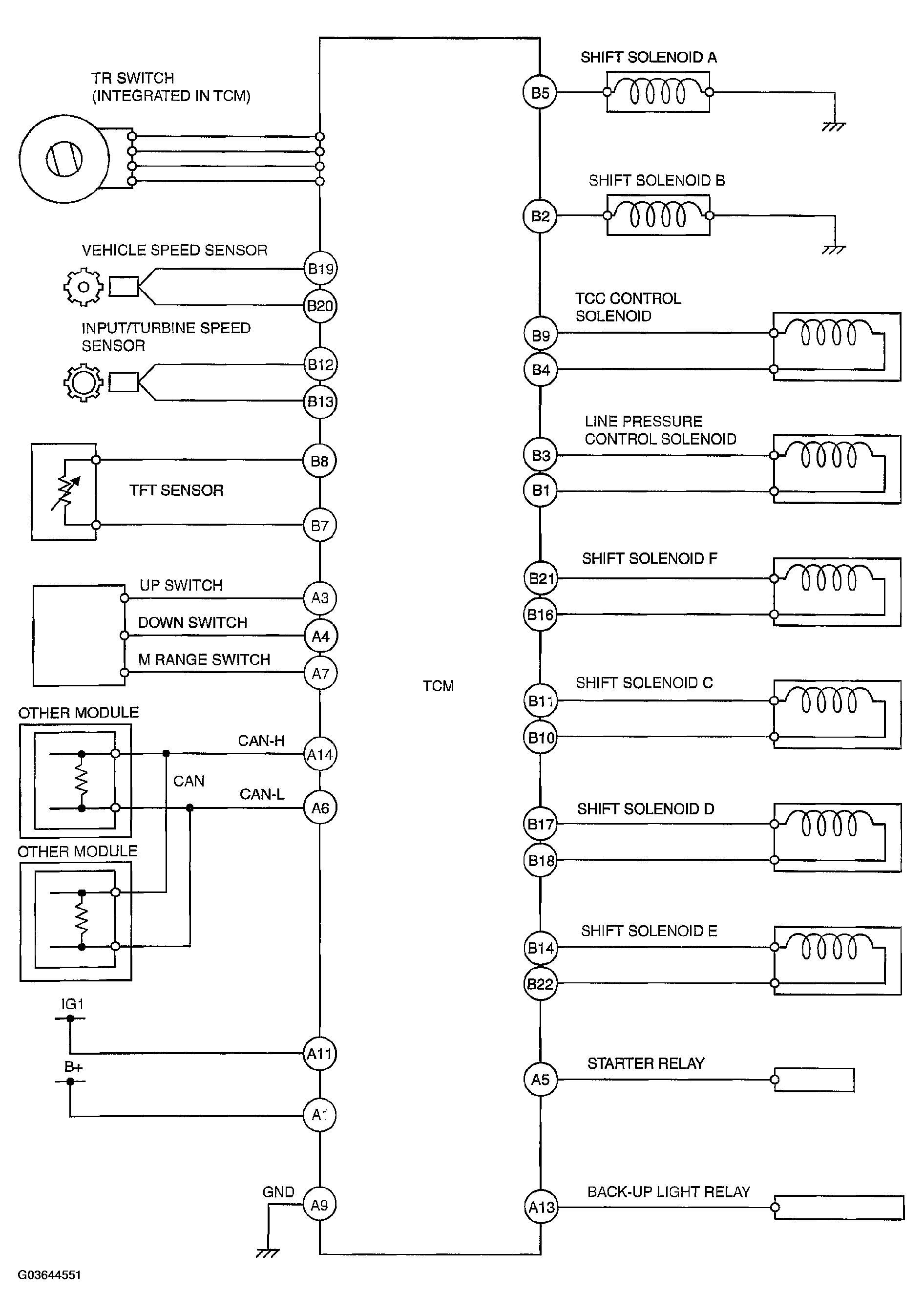 G03644551