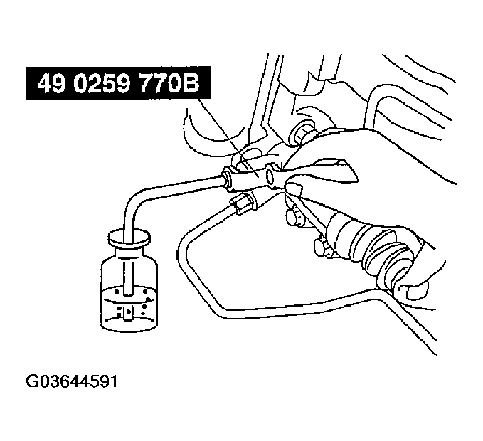 G03644591