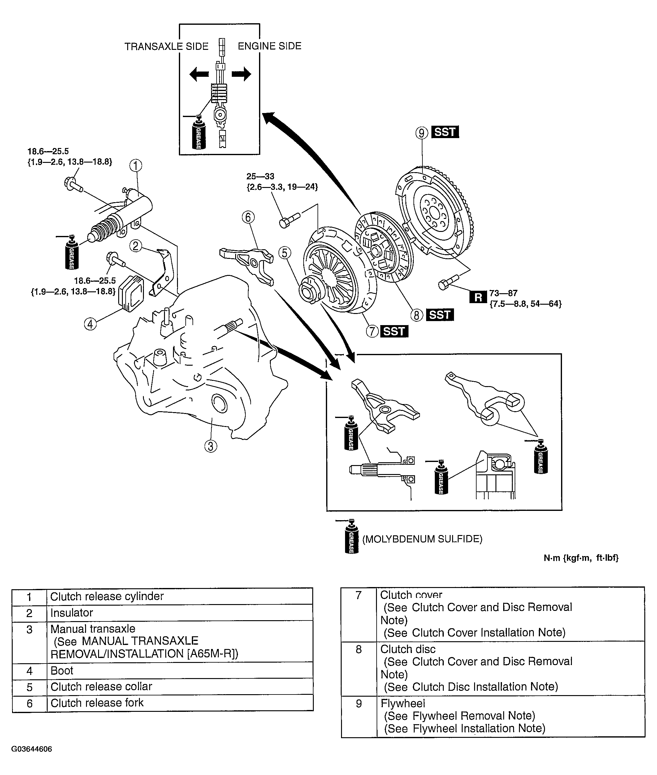 G03644606