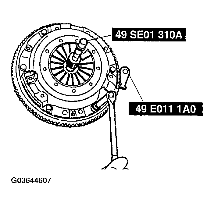 G03644607