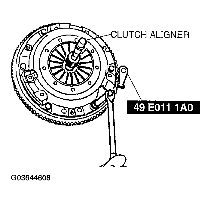 G03644608
