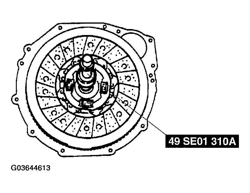 G03644613