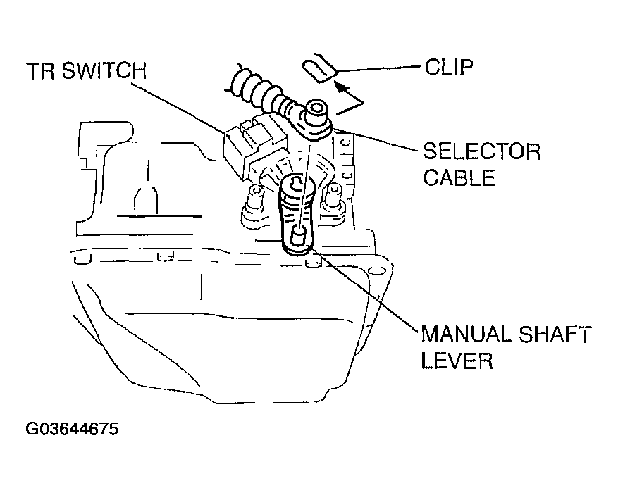 G03644675