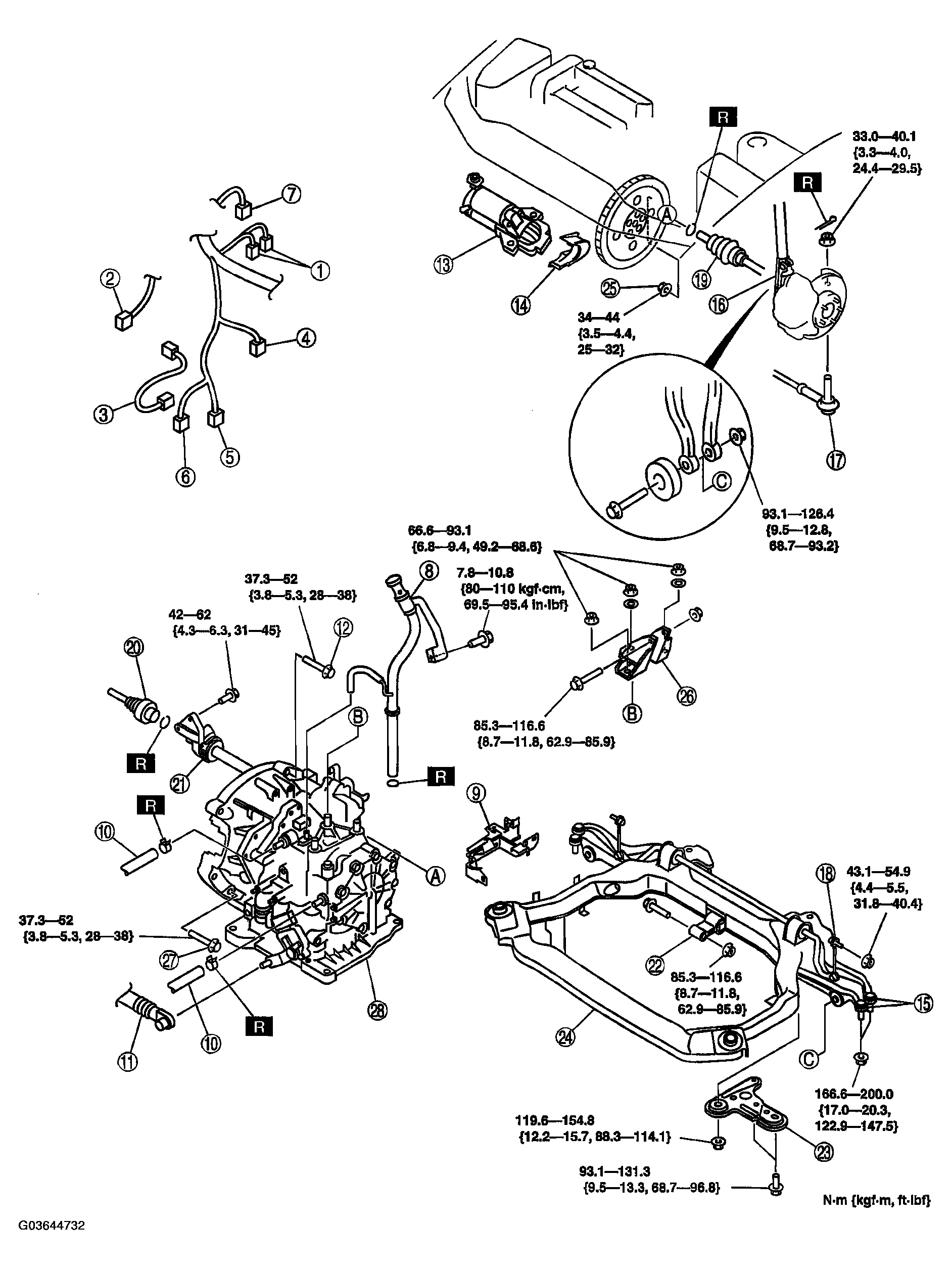 G03644732