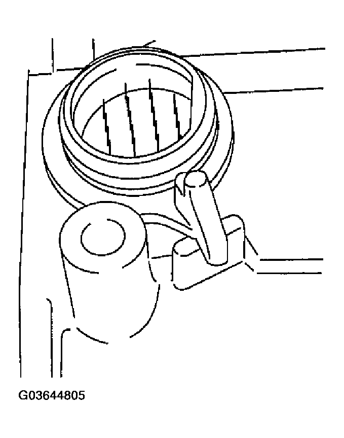 G03644805