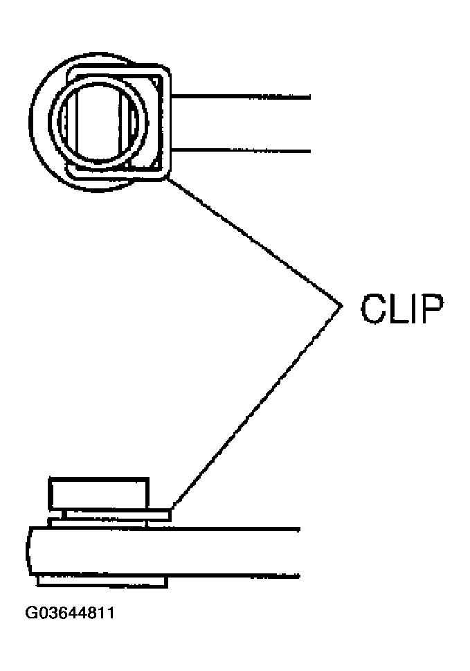 G03644811