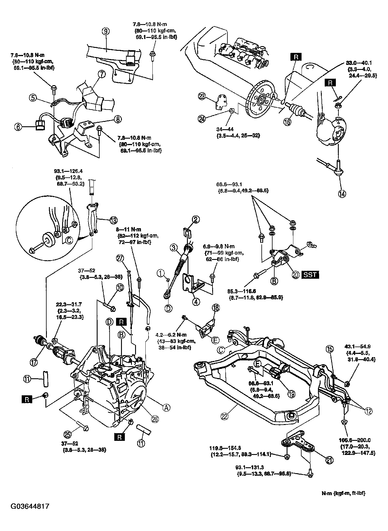G03644817