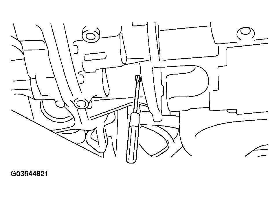 G03644821