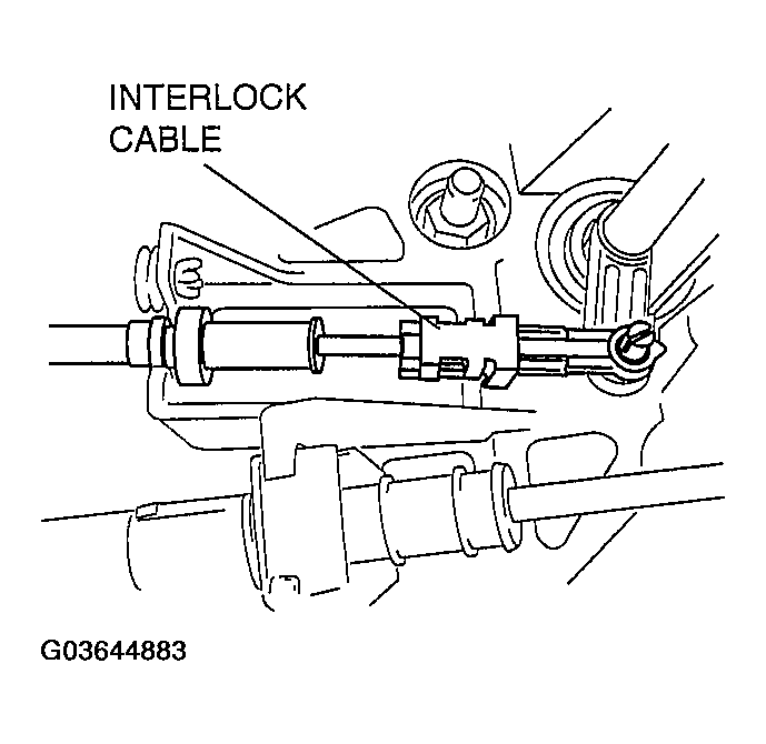 G03644883
