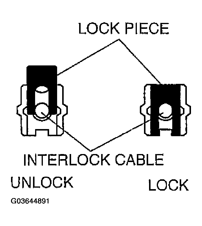 G03644891