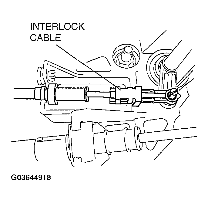 G03644918